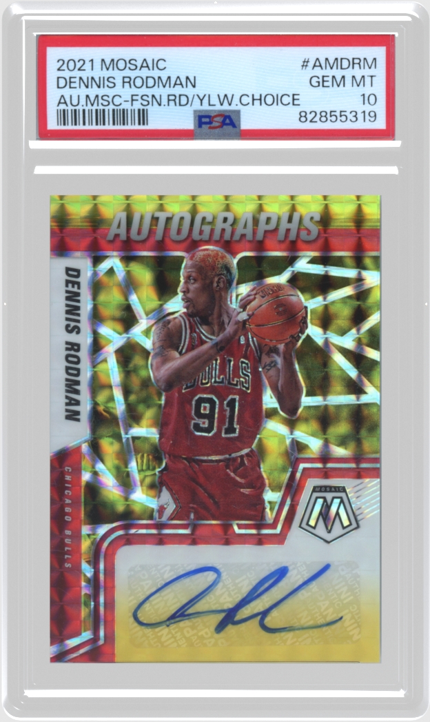 Dennis Rodman trading card