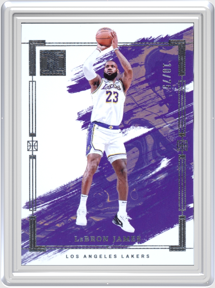 LeBron James trading card