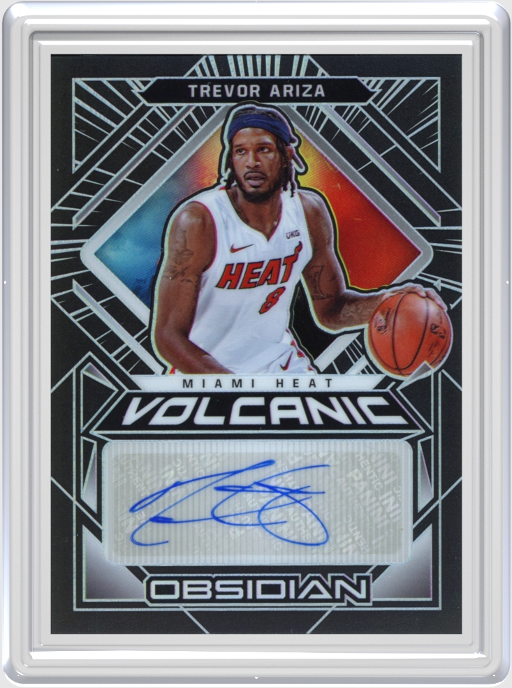 Trevor Ariza trading card