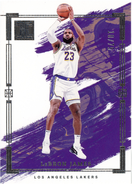LeBron James trading card