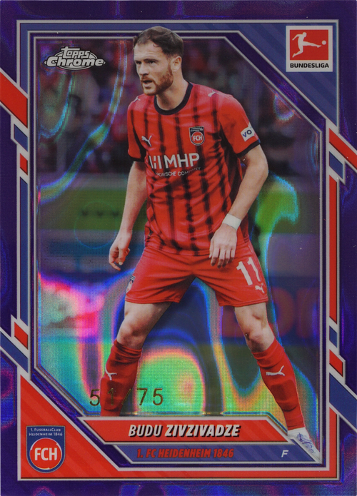 Budu Zivzivadze trading card