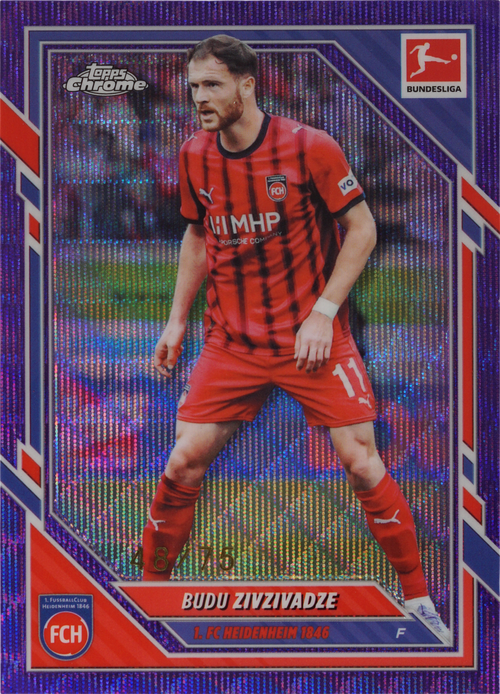 Budu Zivzivadze trading card
