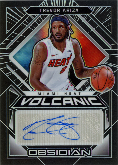 Trevor Ariza trading card