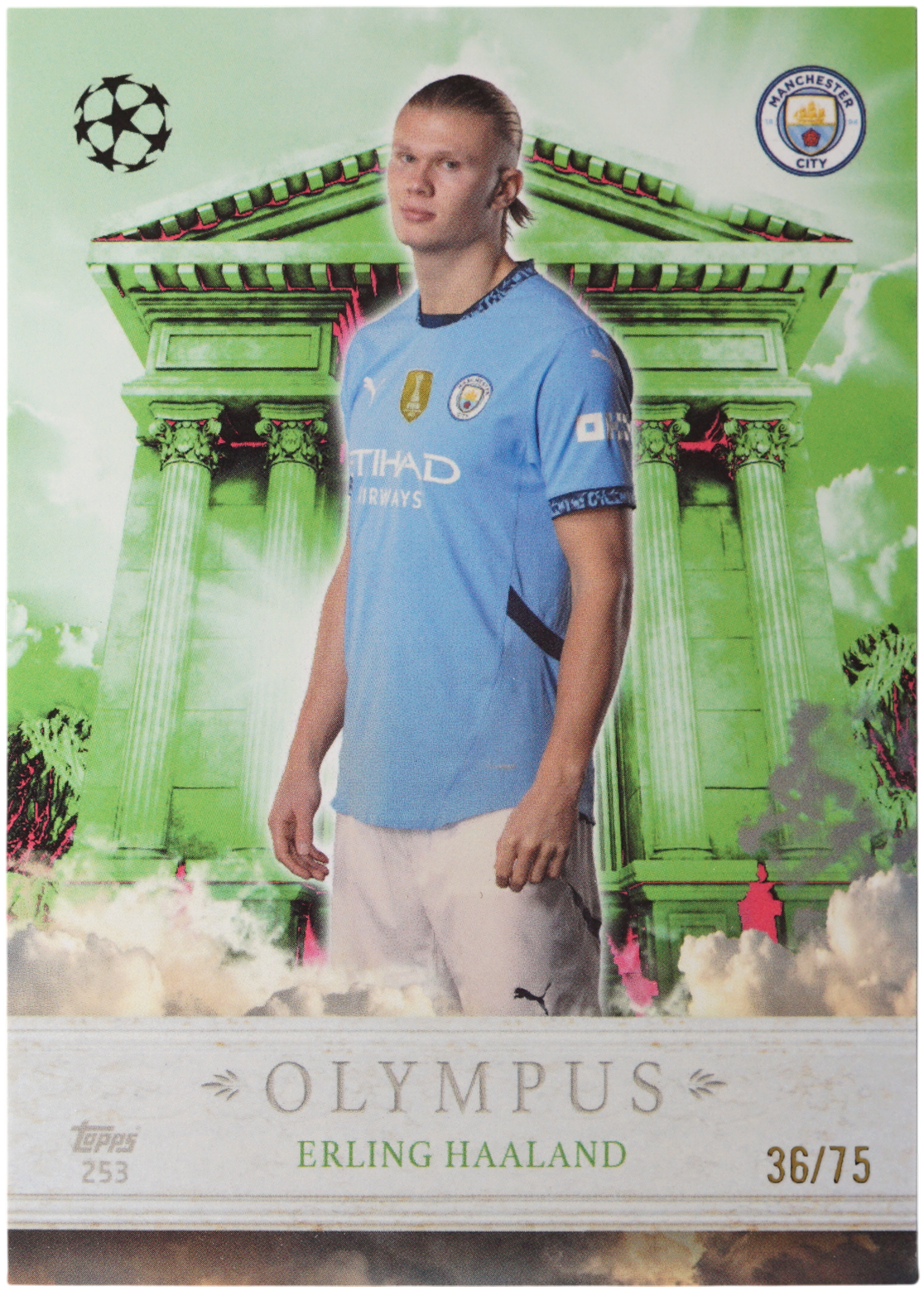 Thumbnail 1