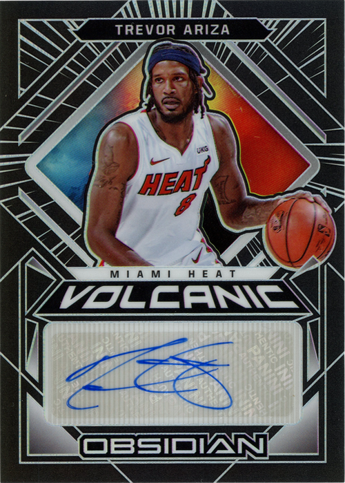 Trevor Ariza trading card