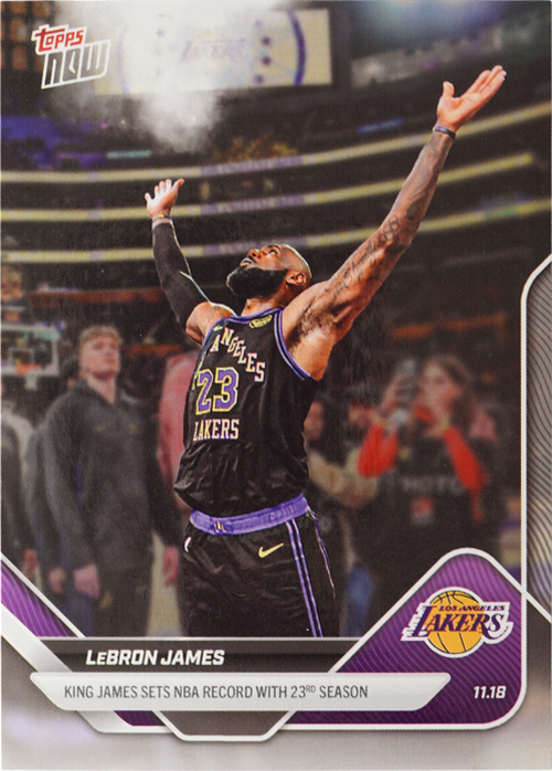 LeBron James trading card