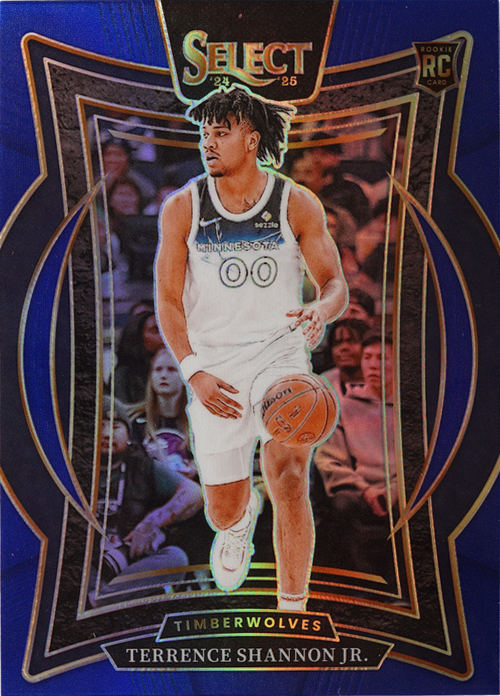Terrence Shannon Jr. trading card