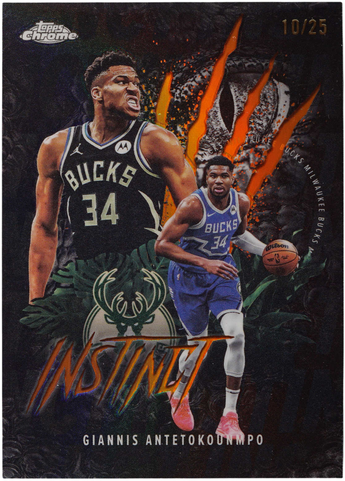 Thumbnail 1