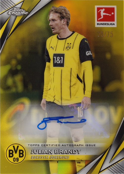 Julian Brandt trading card