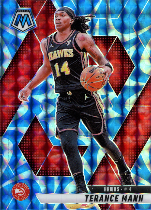 Terance Mann trading card