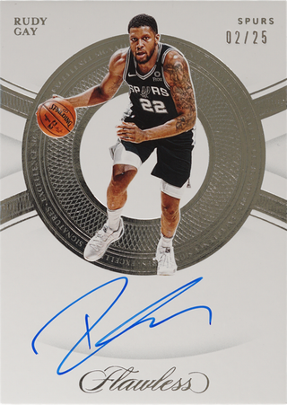Rudy Gay trading card