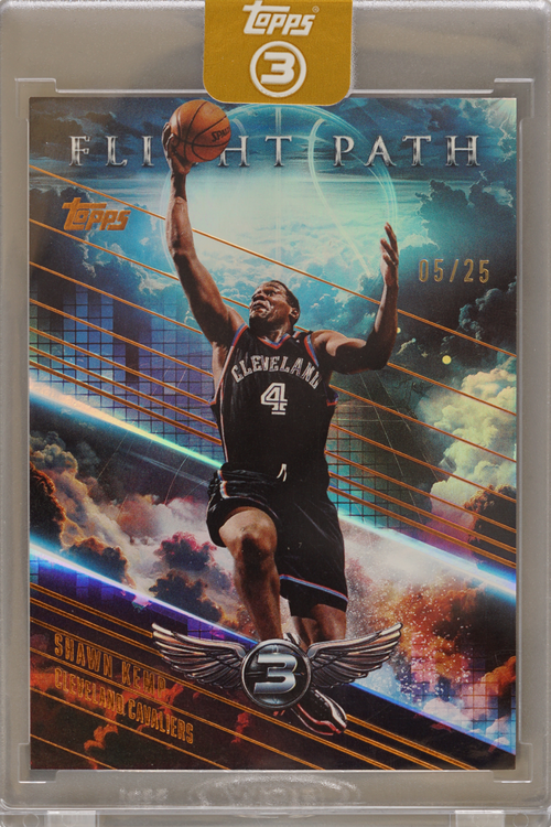 Shawn Kemp trading card