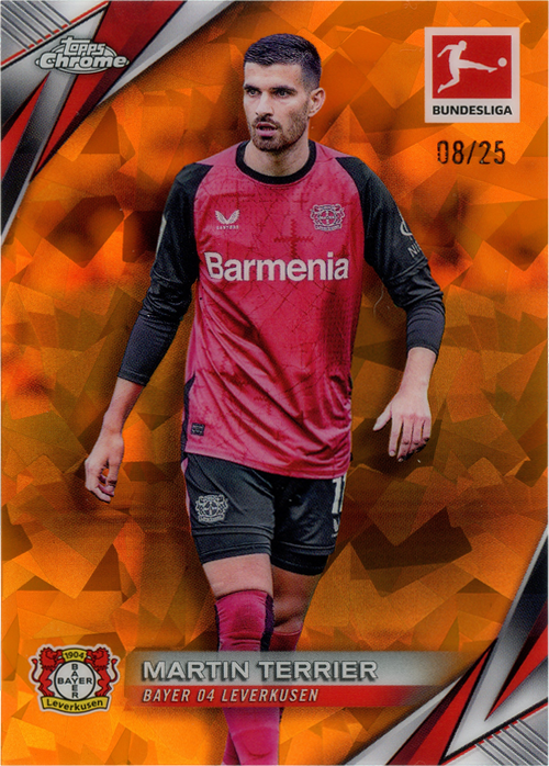 Martin Terrier trading card