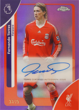 Fernando Torres