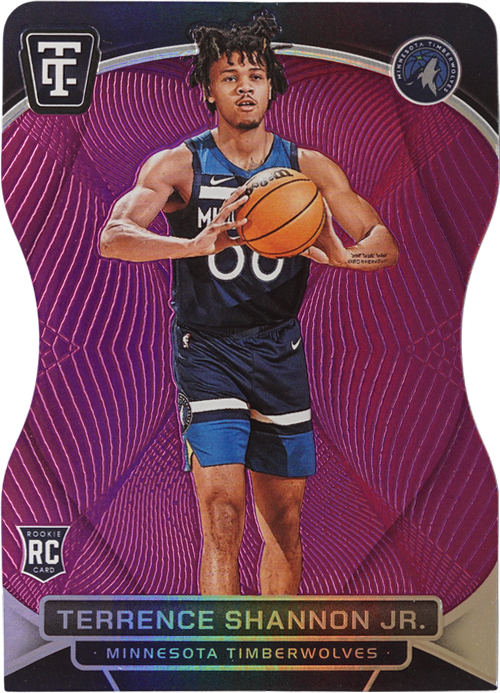 Terrence Shannon Jr. trading card