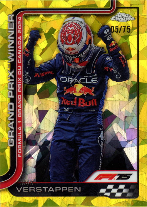 Max Verstappen trading card