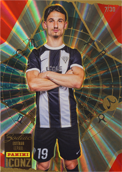 Estéban Lepaul trading card