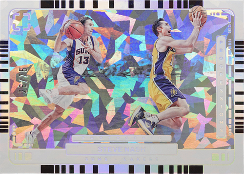 Steve Nash trading card