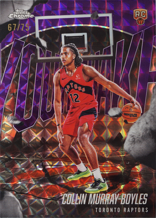 Collin Murray-Boyles trading card
